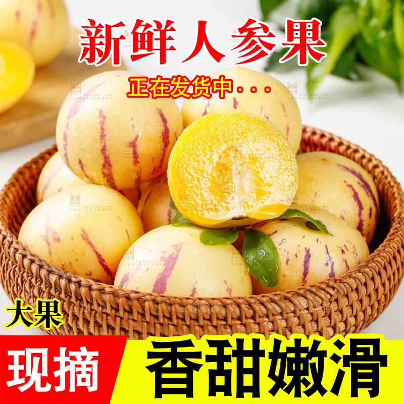 浅底上的人参果