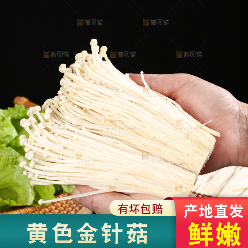 深底上的金针菇
