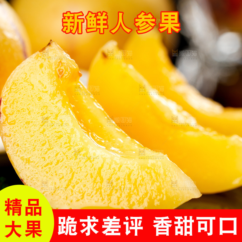 浅底上的人参果