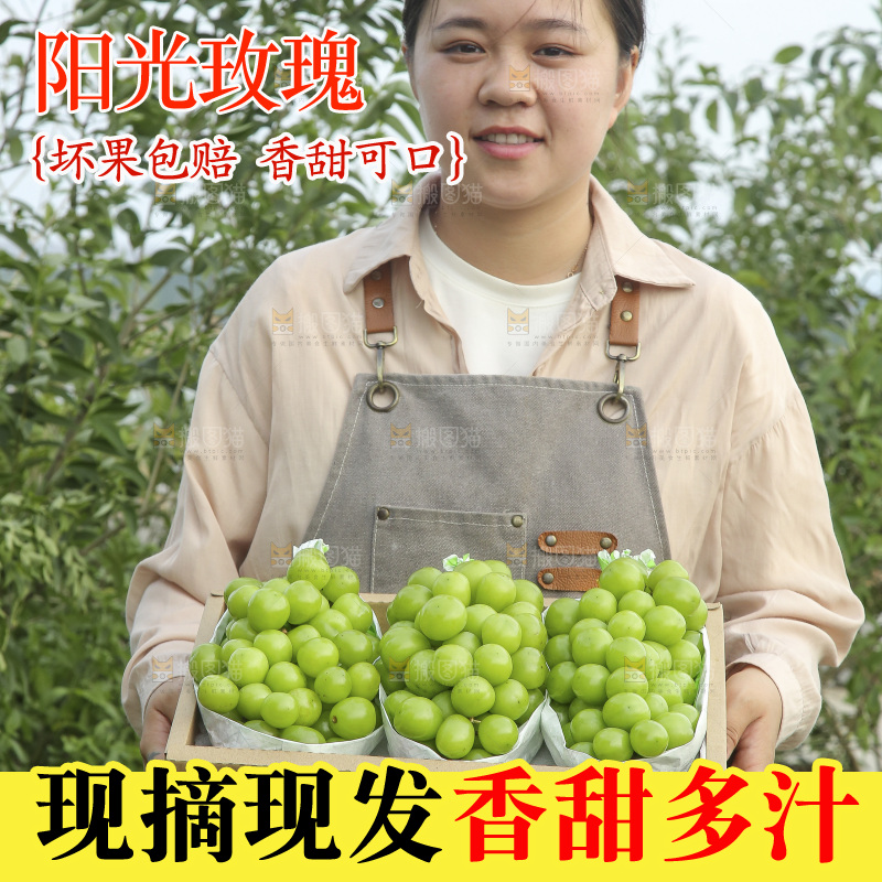 手里拿着一箱阳光玫瑰