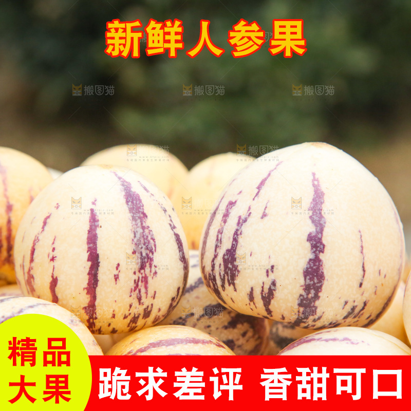 浅底上的人参果