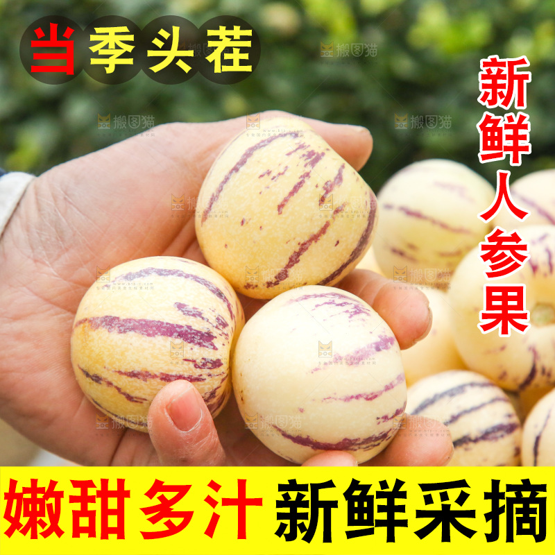 浅底上的人参果