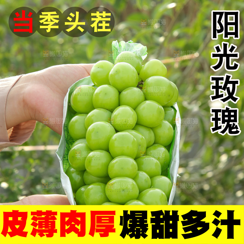 手里拿着阳光玫瑰