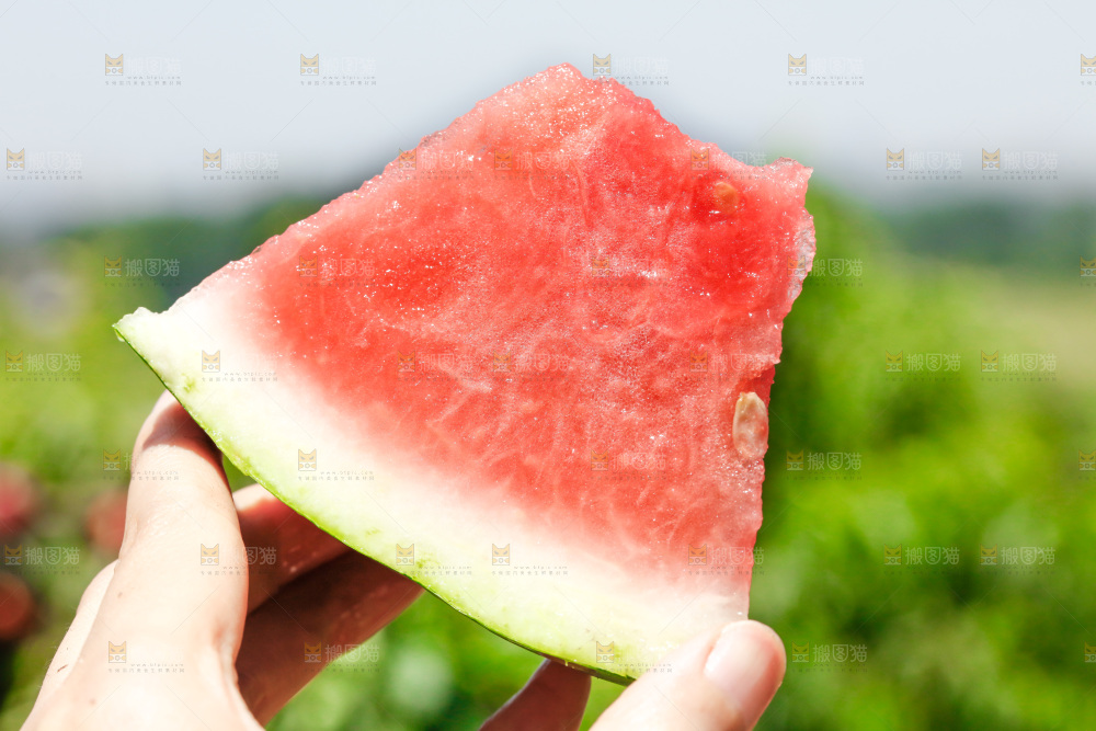 手里拿着新鲜西瓜