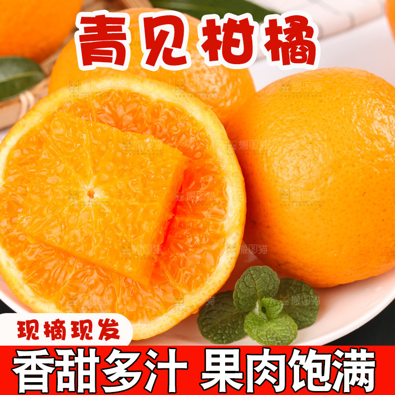 浅底上的青见