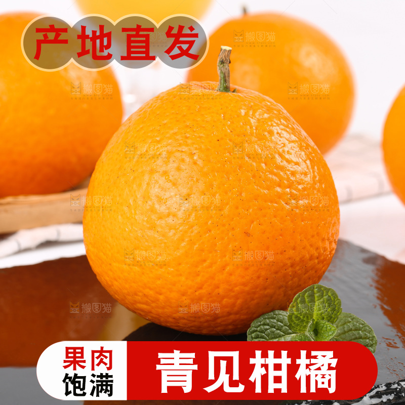 浅底上的青见