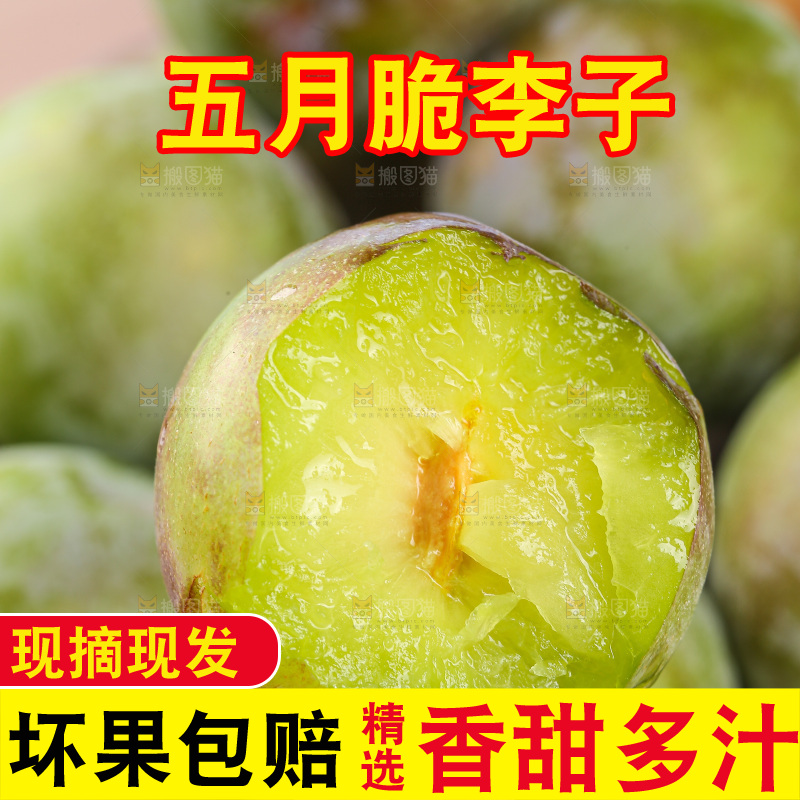 木底上的五月脆