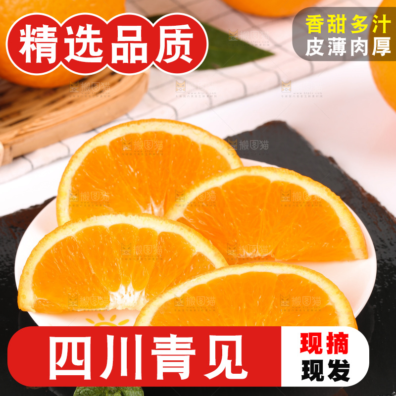 浅底上的青见