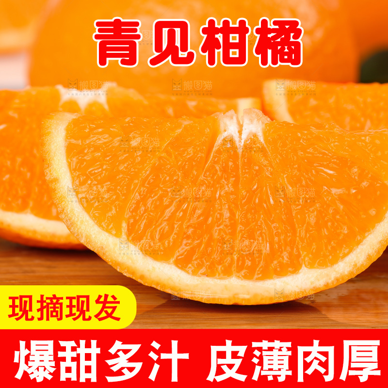 浅底上的青见