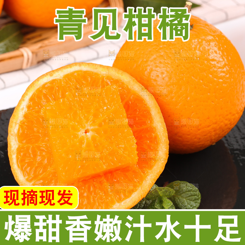 浅底上的青见