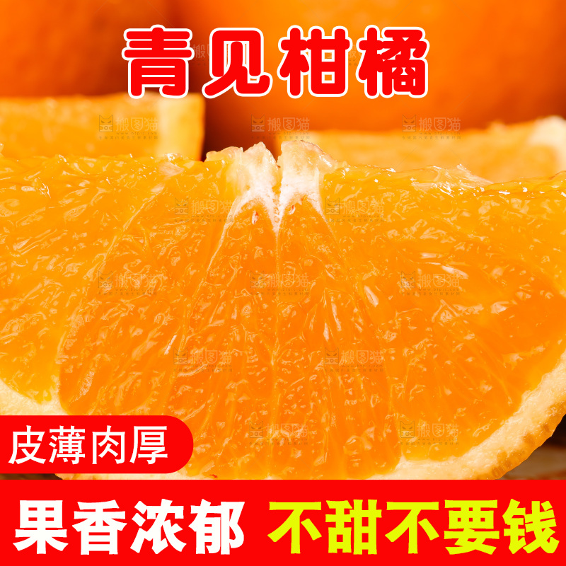 深底上的青见柑橘