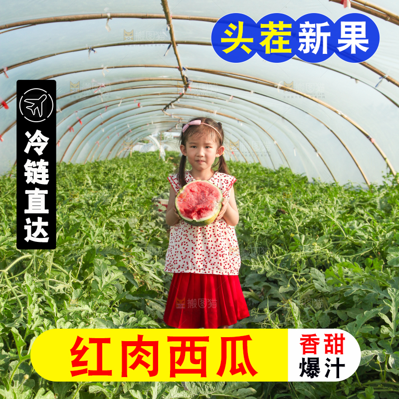手里拿着新鲜西瓜