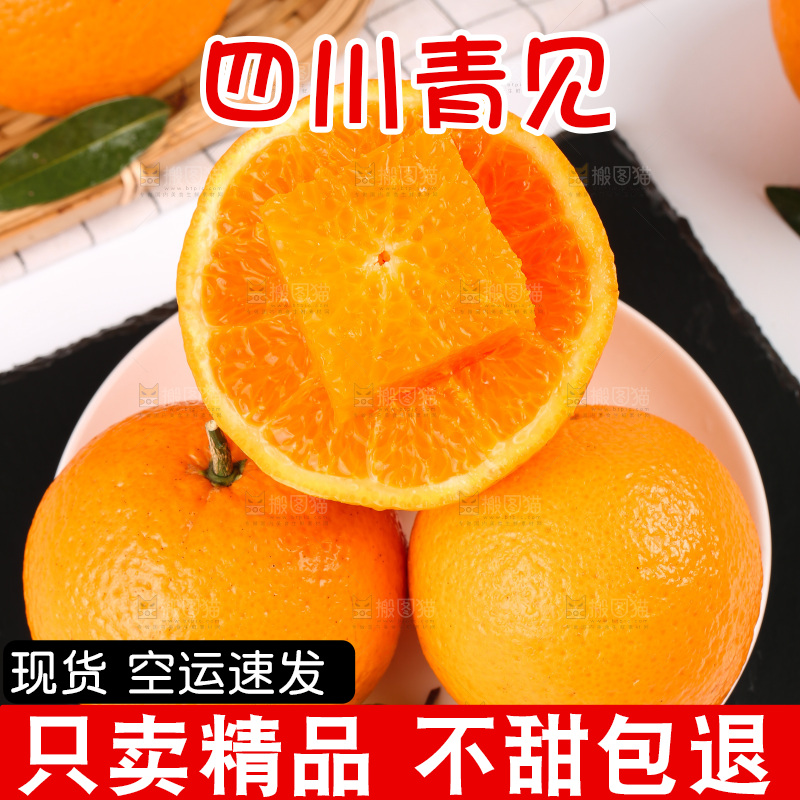 浅底上的青见