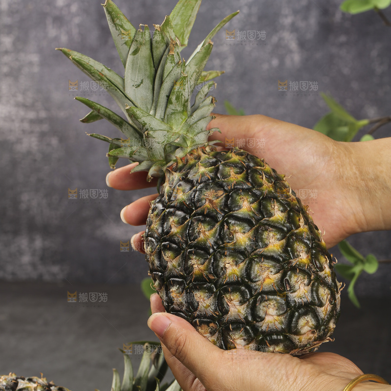 深底上的牛奶凤梨