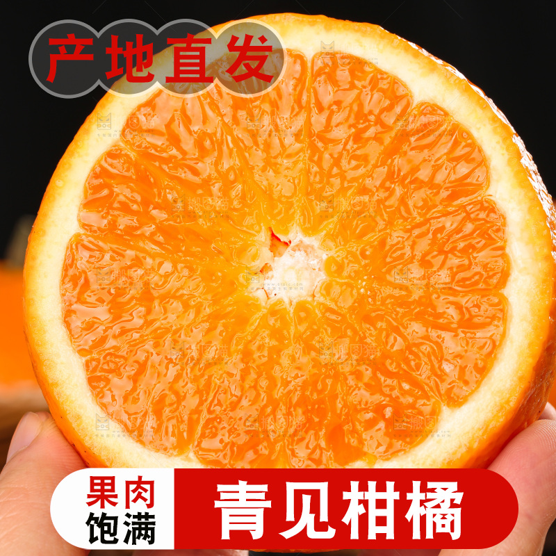 深底上的青见柑橘