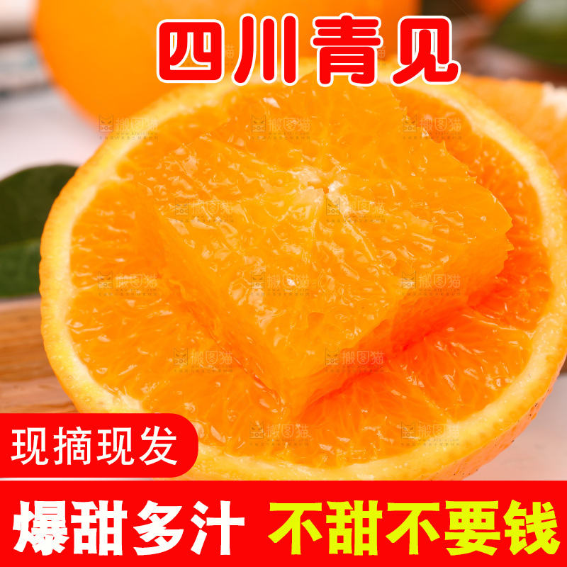 浅底上的青见
