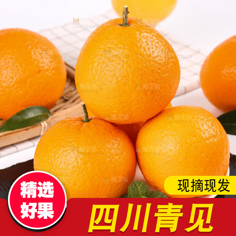 浅底上的青见