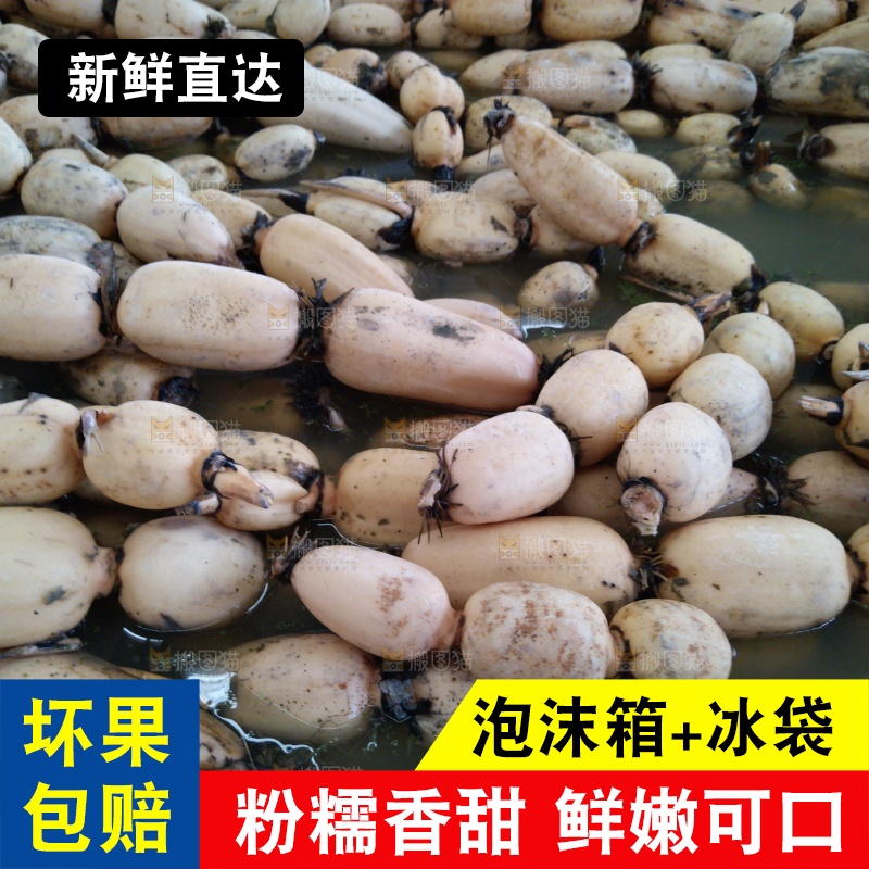 摆放整齐的莲藕