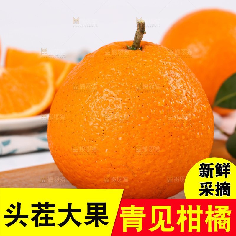 浅底上的青见