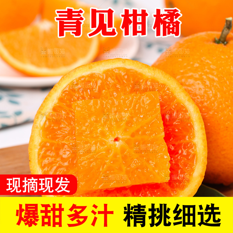 浅底上的青见