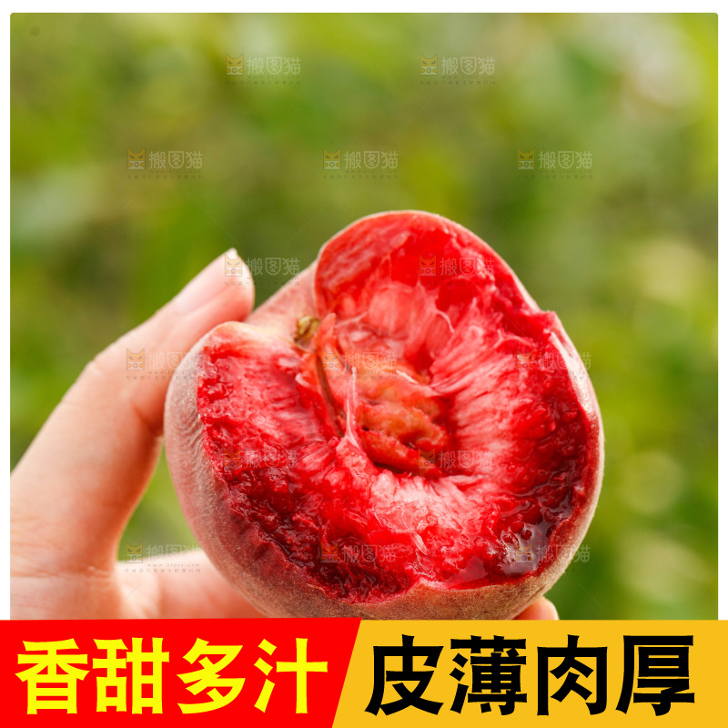 手里拿着血桃