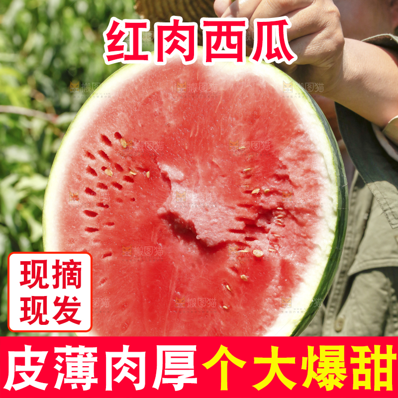 手里拿着新鲜西瓜
