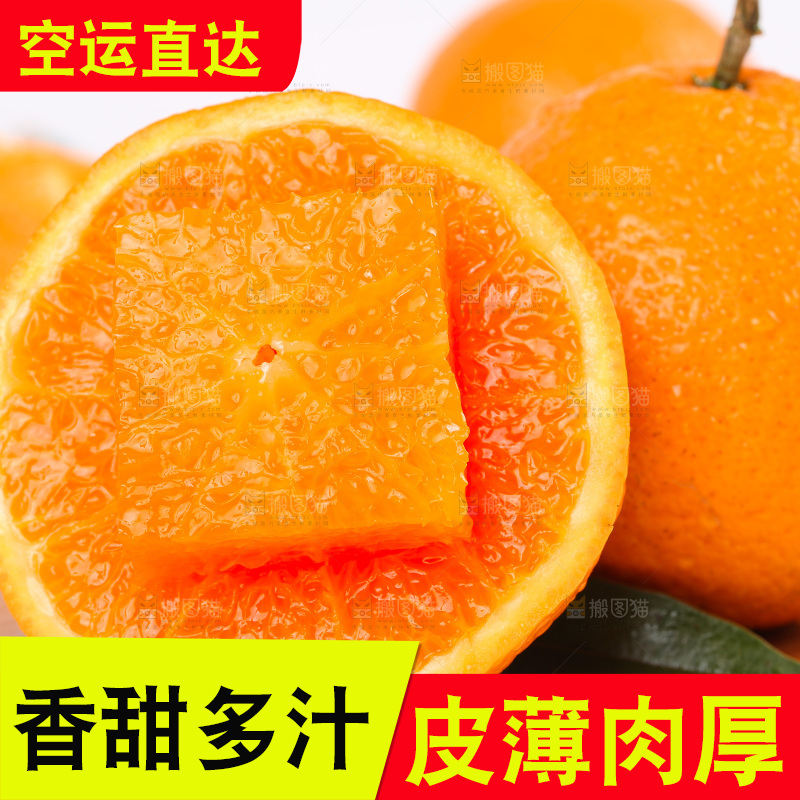 浅底上的青见