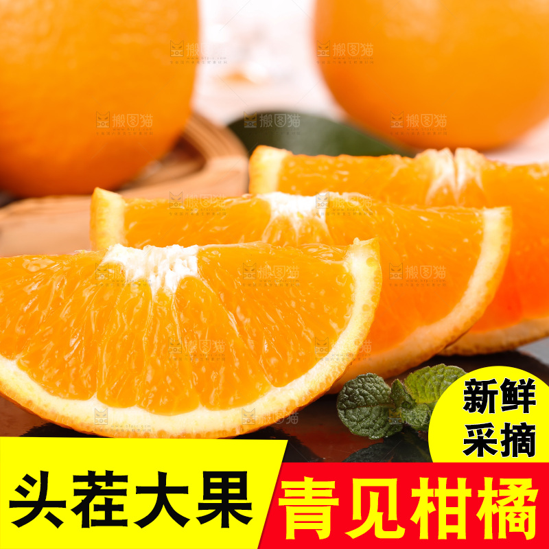 浅底上的青见