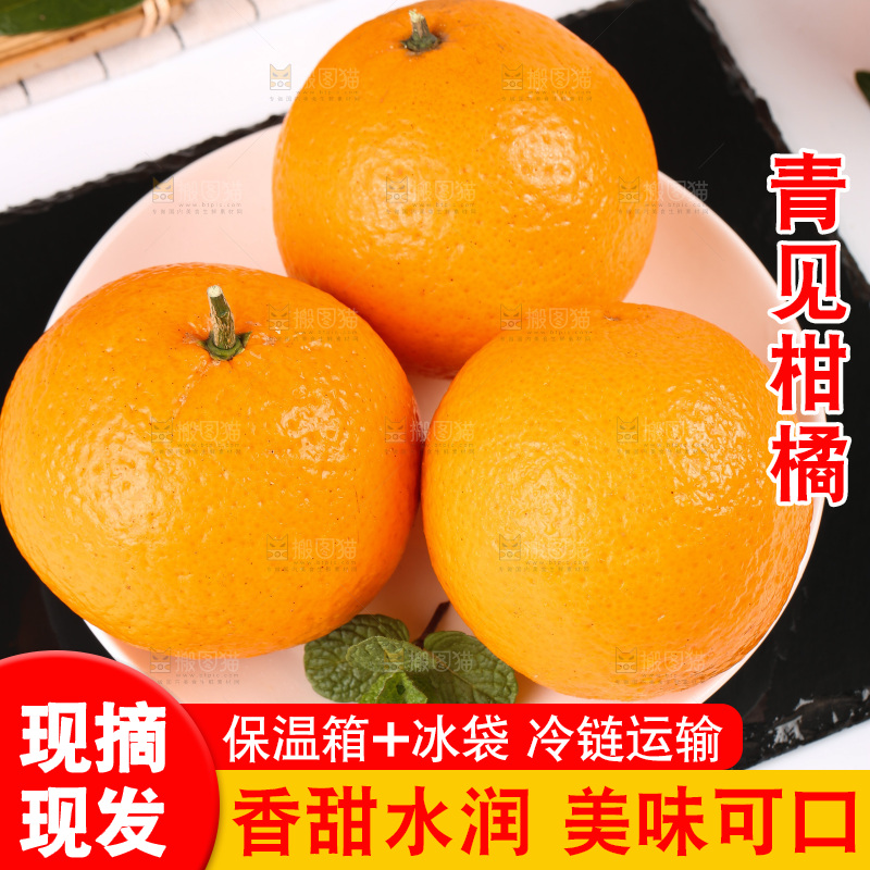 浅底上的青见