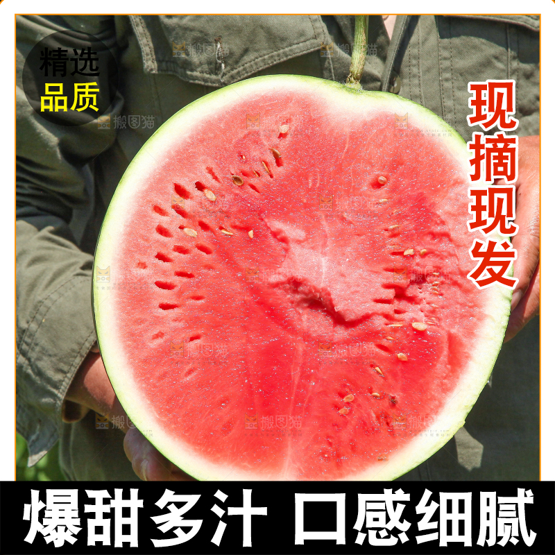 手里拿着新鲜西瓜