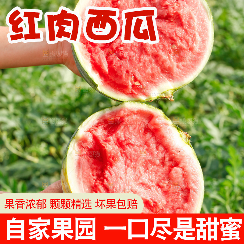 手里拿着新鲜西瓜