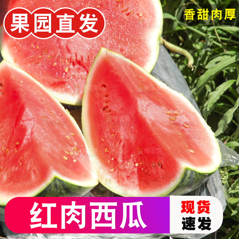 手里拿着新鲜西瓜