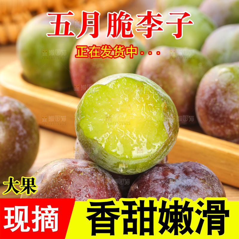 木底上的五月脆