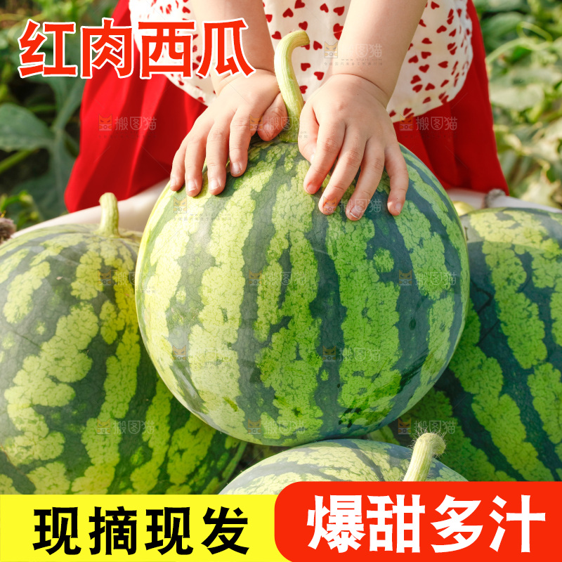 手里拿着新鲜西瓜