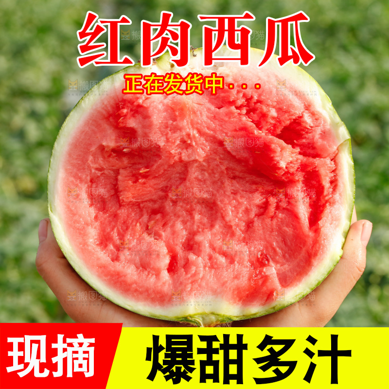 手里拿着新鲜西瓜