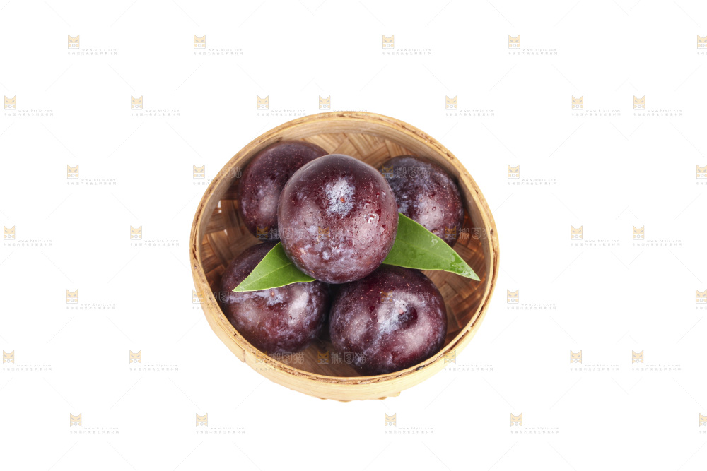 白底上的五月脆李子