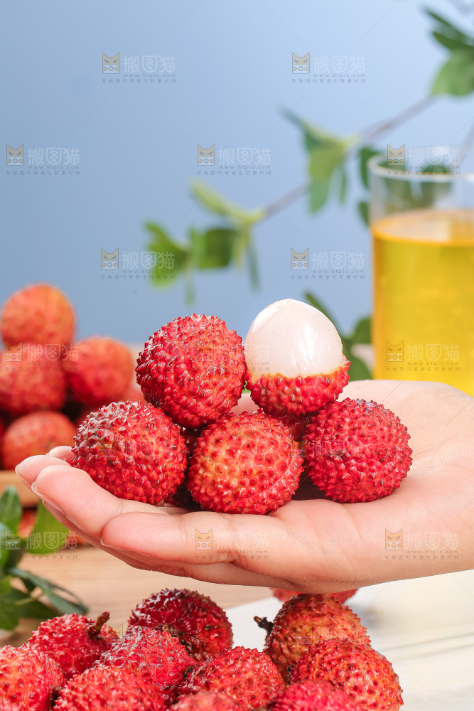 浅底上的桂味荔枝