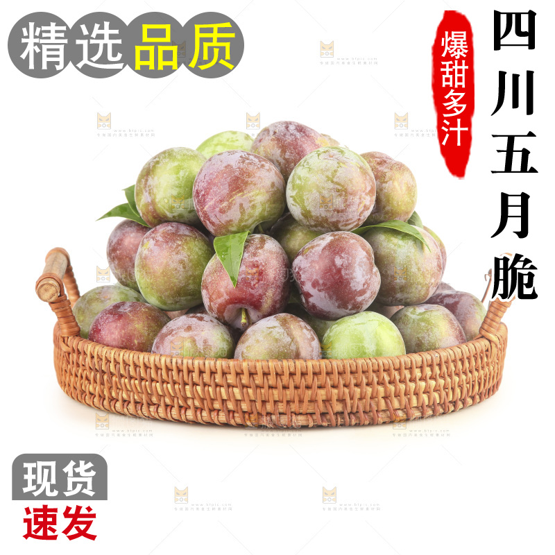 白底上的五月脆