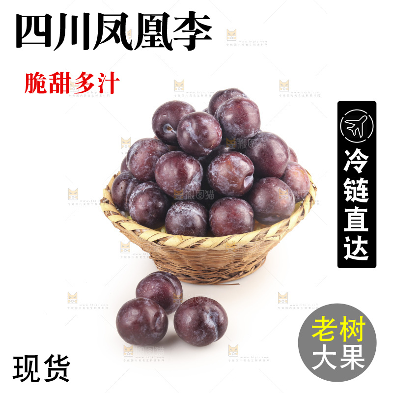 白底上的五月脆李子