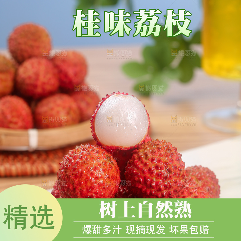 浅底上的桂味荔枝