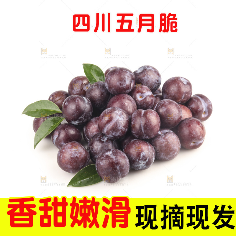 白底上的五月脆李子