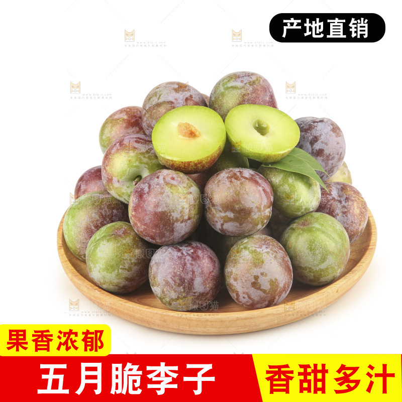 白底上的五月脆