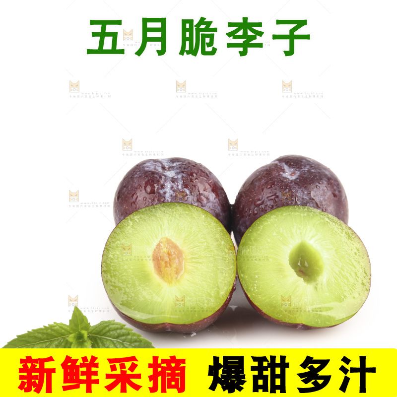 白底上的五月脆李子