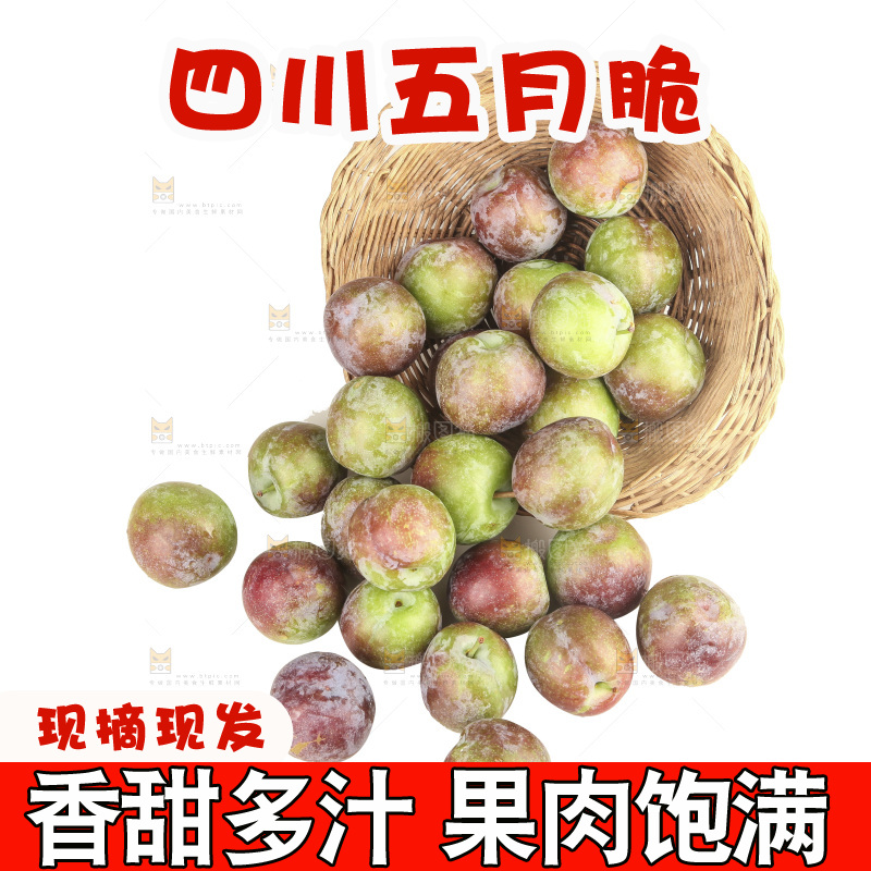 白底上的五月脆