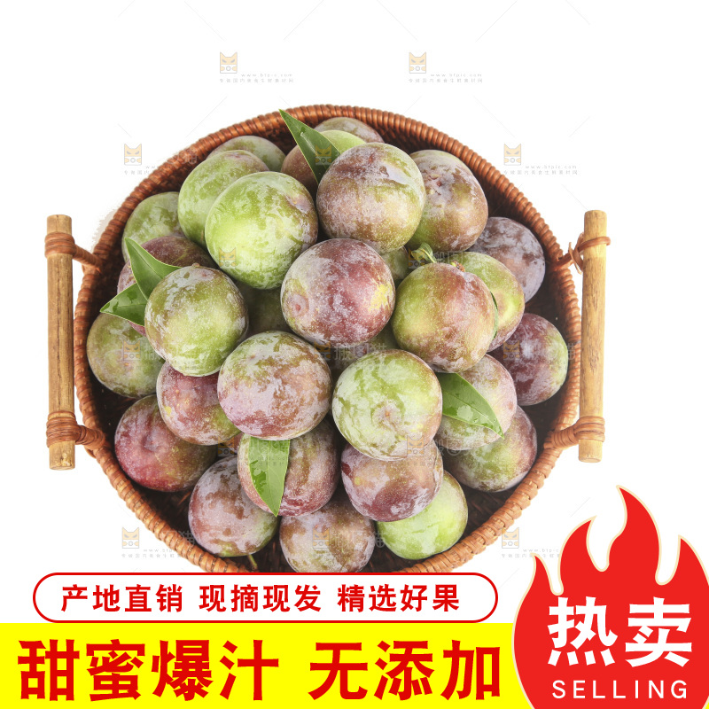 白底上的五月脆