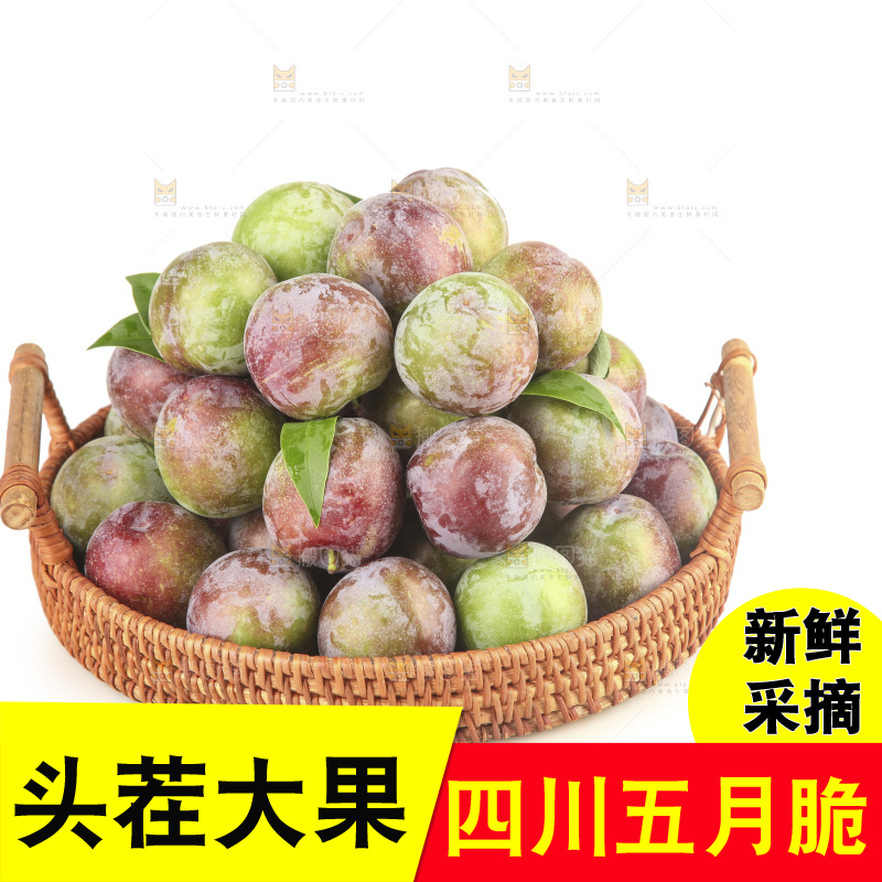 白底上的五月脆