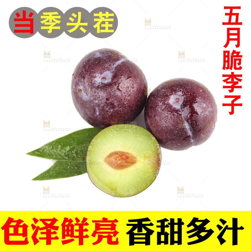 白底上的五月脆李子