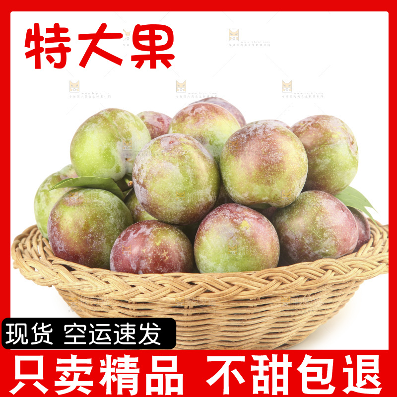 白底上的五月脆