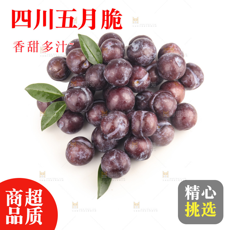 白底上的五月脆李子
