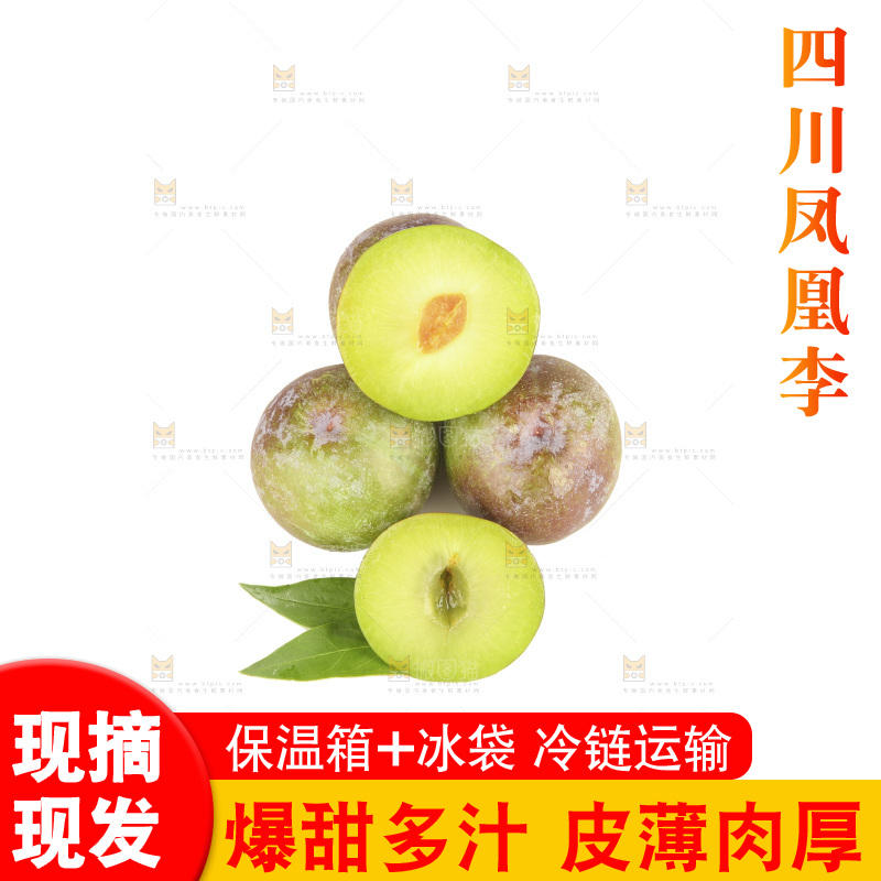 白底上的五月脆